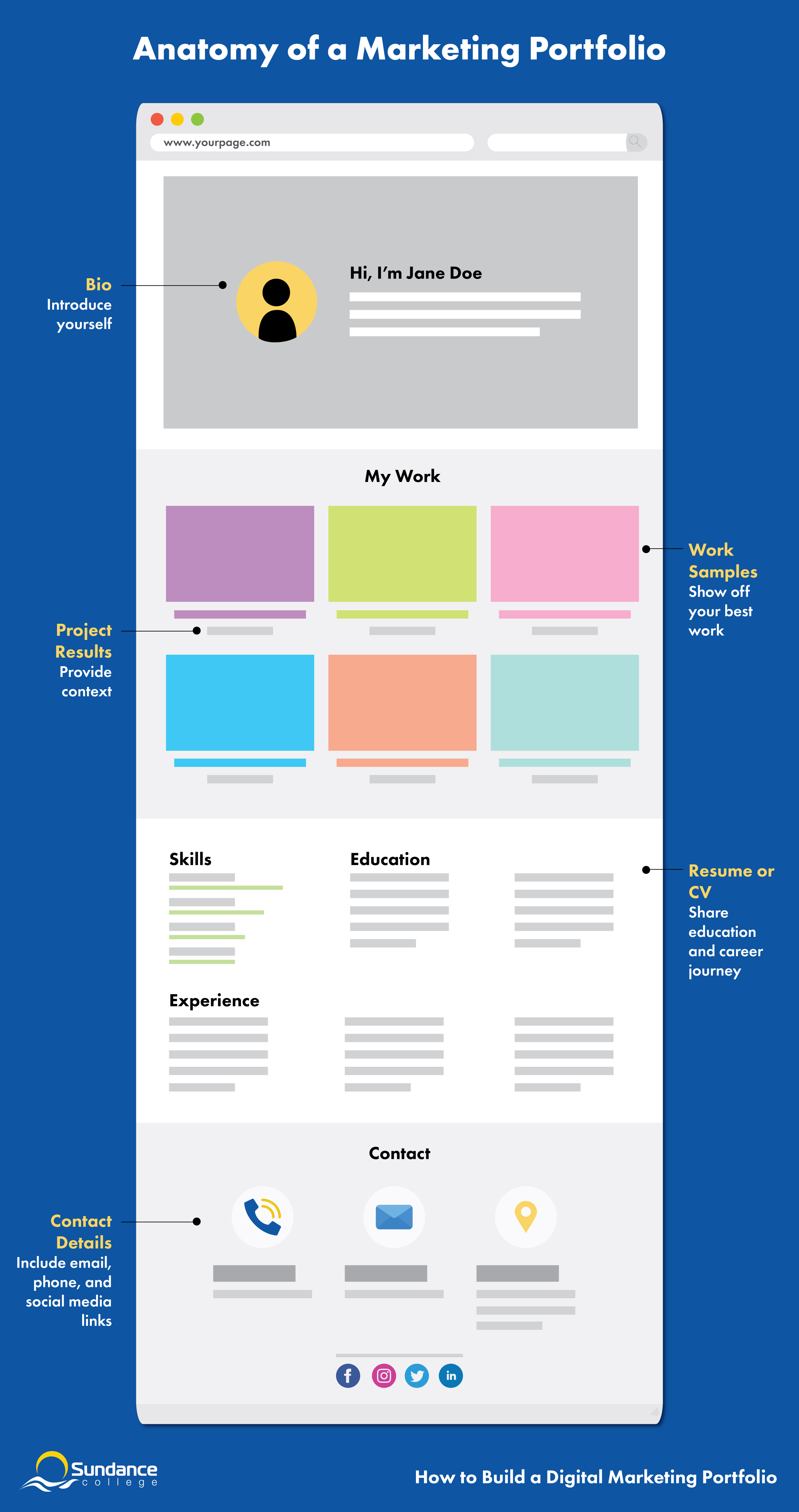 infographic detailing sections your marketing portfolio should include: bio, work samples, project results, resume, contact details